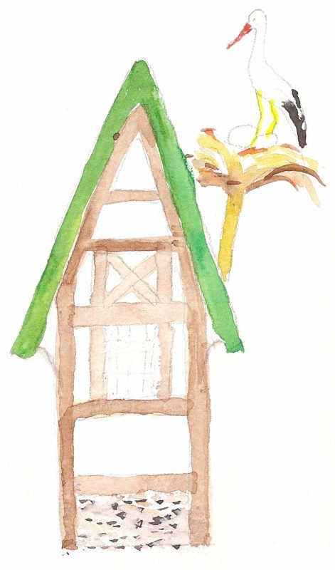 Fundación eCare Acompaña - Elisabeth d'Ornano - Deseos - Embarazo