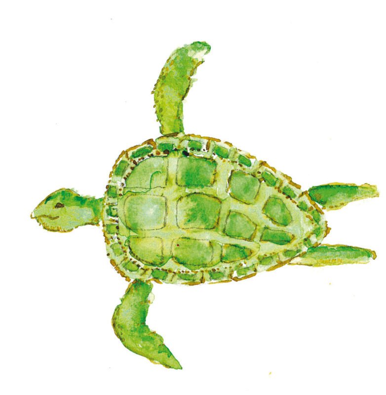 Fundación eCare Acompaña - Elisabeth d'Ornano - Deseos - Familia