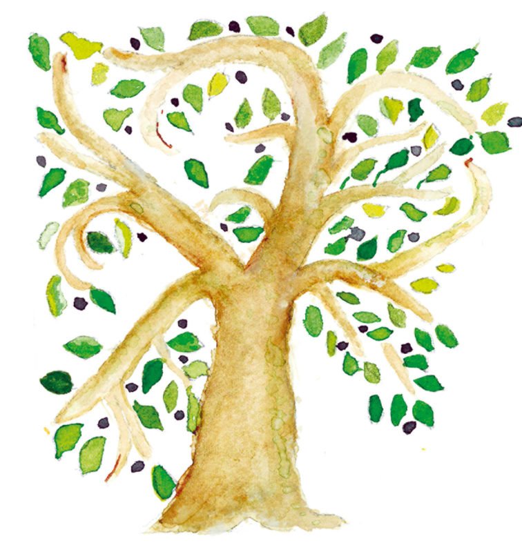 Fundación eCare Acompaña - Elisabeth d'Ornano - Deseos - Nacimiento