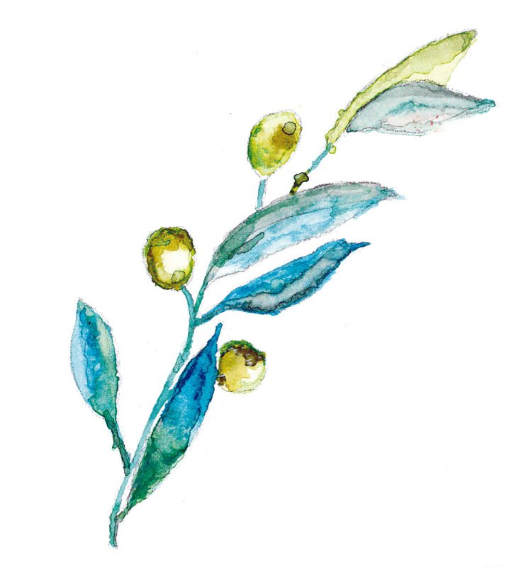 Fundación eCare Acompaña - Elisabeth d'Ornano - Deseos - Positividad