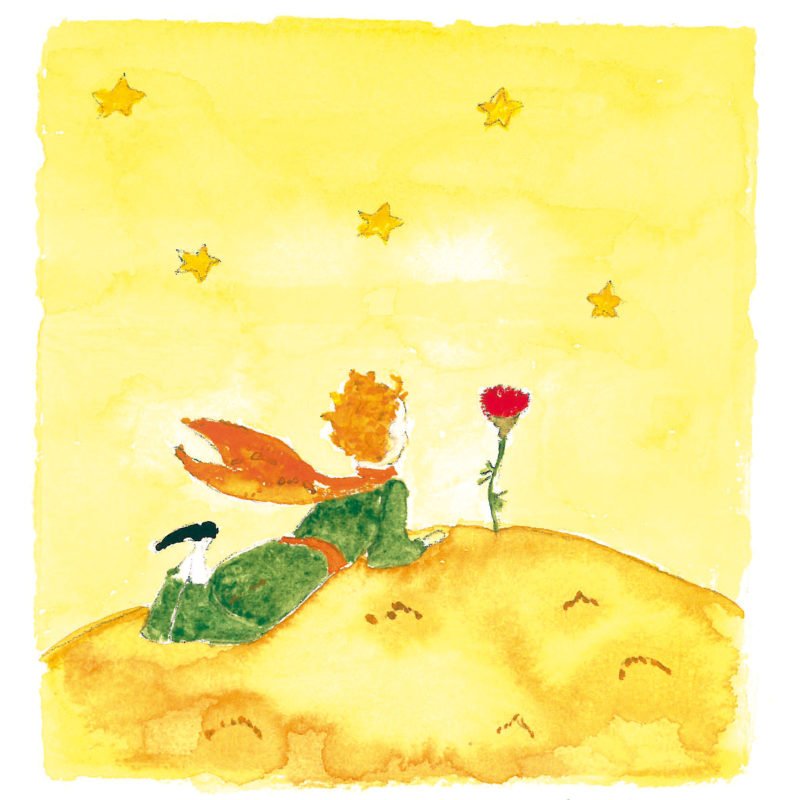 Fundación eCare Acompaña - Elisabeth d'Ornano - Deseos - Educación bebé